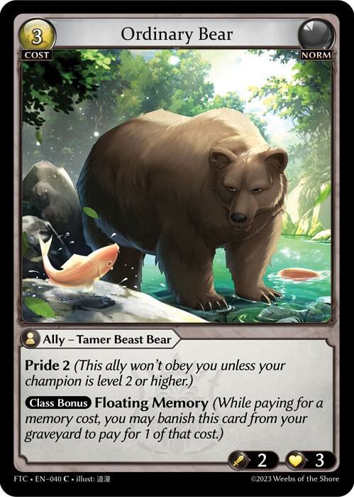Ordinary Bear 040 (Fractured Crown) 
