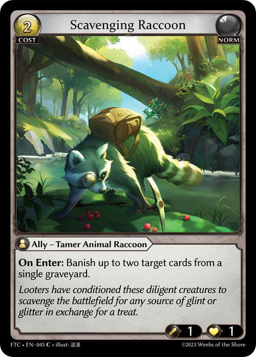 Scavenging Raccoon 045 (Fractured Crown) 