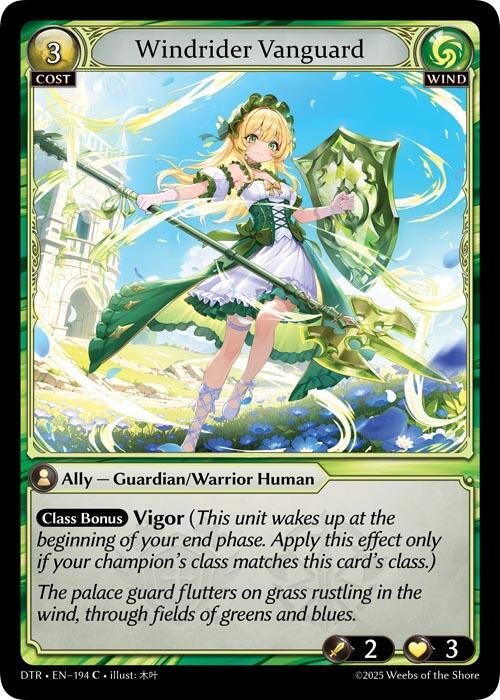 Windrider Vanguard 194 (Distorted Reflections) 