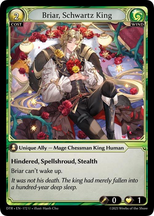 Briar Schwartz King 172 (Distorted Reflections) 