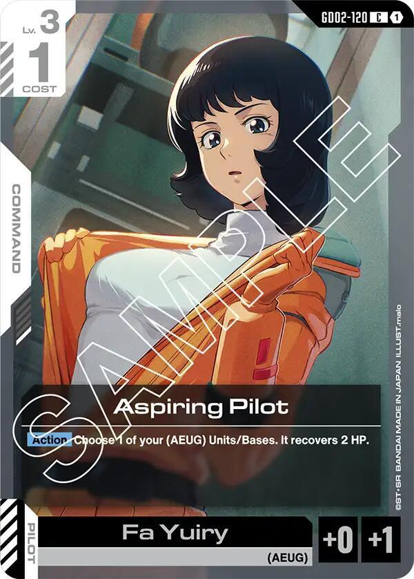 Aspiring Pilot GD02-120 (Dual Impact) 